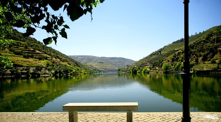 Região do Douro escolhida para Cidade Europeia do Vinho 2023